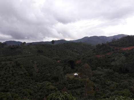 Bán nhanh đất vườn sinh thái, khu homestay Lenkar's