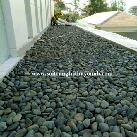 Sỏi đen tự nhiên trang trí lối đi sân vườn