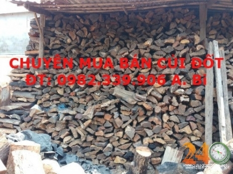 Cung Cấp Củi Đốt Lò Hơi