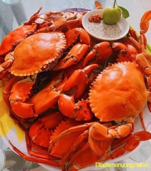 Cung Cấp Cua Biển Cà Mau, Cua Chế Biến Mang Về