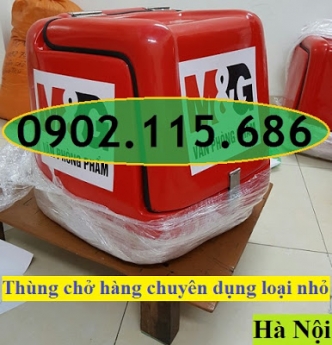 Thung cho hang xe may loai nho, thung nhua ship hang nho, thung giao hang xe may, thung nhua giao ha