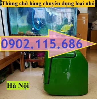 Thung cho hang xe may loai nho, thung nhua ship hang nho, thung giao hang xe may, thung nhua giao ha