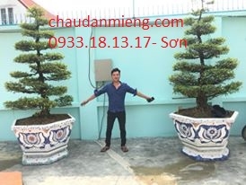 Nghệ nhân dán miễng sành sứ - ốp sành - chuyên chậu hoa - bể cá cảnh