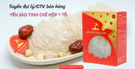 Tìm đại lý, nhà phân phối, cộng tác viên kinh doanh yến sào trung nam- Hộp 1 tổ