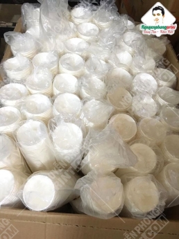 In ly giấy cà phê nóng Pleiku - Gia Lai