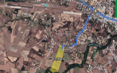Những điều bí mật của 3,3ha duy nhất Dục Mỹ, Khánh Hòa; huyết mạch 