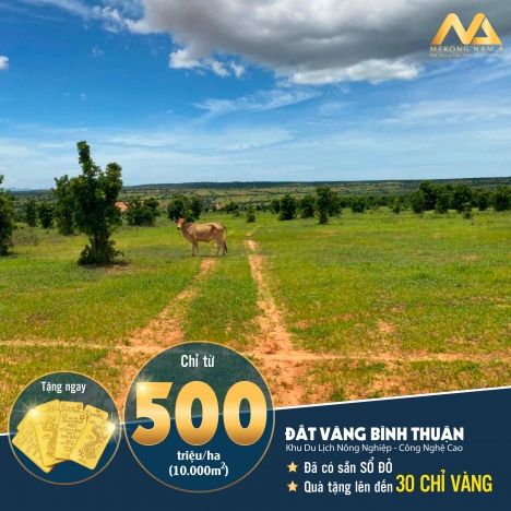 Bán đất vườn Bình Thuận giá rẻ từ 50 nghìn/m2, sổ đỏ riêng, công chứng ngay, gần khu du lịch Safari