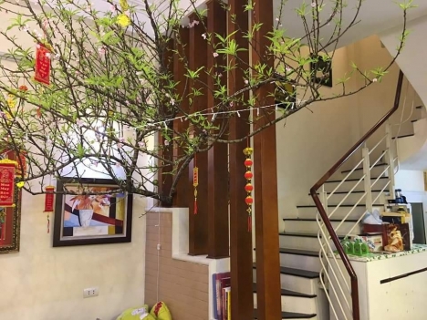Nhà mới koong, ở ngay, ngõ ngách to rộng, chỉ 3,8 tỷ