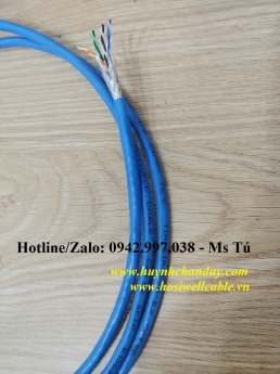 Cáp mạng Cat.5e (UTP, FTP, SFTP, Patch Cable), 305m/cuộn - Hosiwell Cable