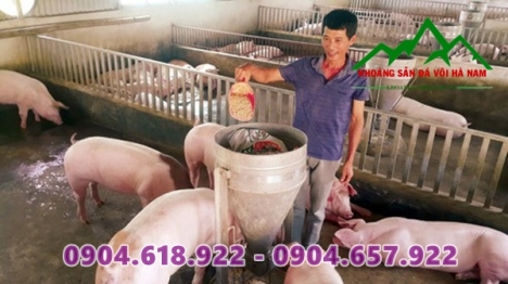 Bentonite làm phụ gia cho thức ăn chăn nuôi.