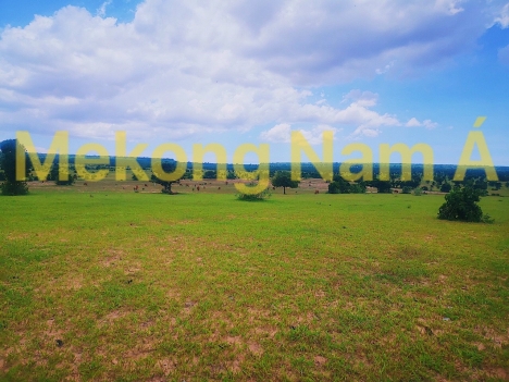 Đất nông nghiệp Bình Thuận giá cực rẻ, tiềm năng đầu tư đón đầu Sân Bay Phan Thiết