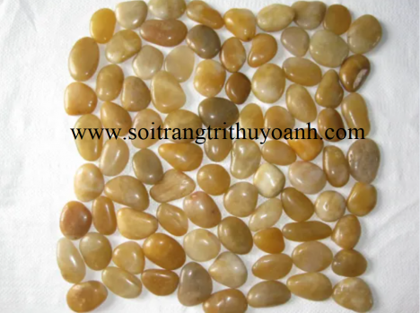 Sỏi vàng bóng trang trí tiểu cảnh sân vườn