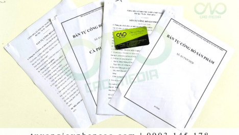 Tự công bố chất lượng phô mai que cần chuẩn bị hồ sơ gì?