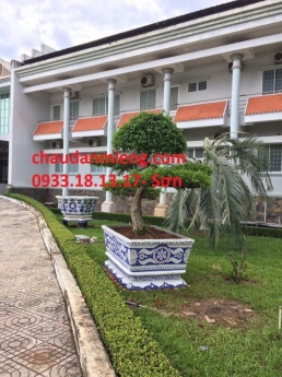 Chậu hoa _ chậu cảnh _ chậu hoa dán miễng , ghép sành sứ _ chậu to, chậu hoa thủ đức