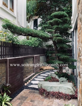 Sỏi đen bóng các loại trang trí