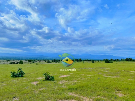 Đất vàng du lịch Bình Thuận siêu rẻ, ưu đãi lên tới 10 chỉ vàng