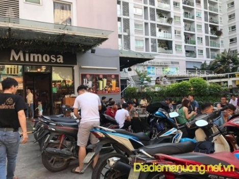 MIMOSA Coffee Hoàng Hoa Thám Tân Bình