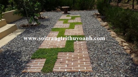 Sỏi đen tự nhiên trang trí tiểu cảnh