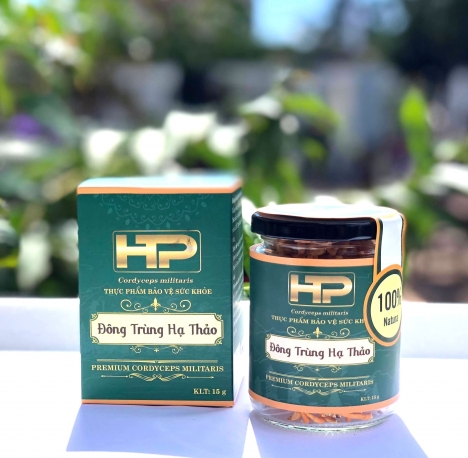 Đông Trùng Hạ Thảo Chất Lượng Cao - ĐH Nông Lâm HCM