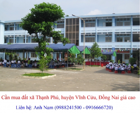 Cần mua đất Thạnh Phú, đường Hương lộ 15, hương lộ 6, DT768, trục 16, Ông Binh giá cao