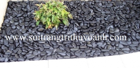 Sỏi đen bóng tra trí sân vườn
