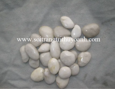 Sỏi trắng bóng trang trí tiểu cảnh sân vườn, sỏi rải sân vườn