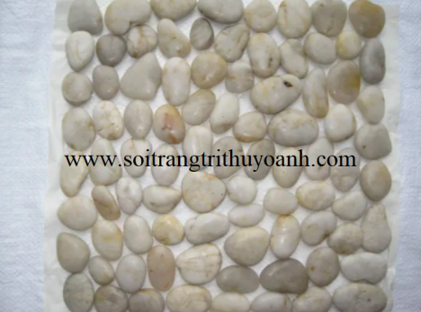 Sỏi trắng bóng trang trí tiểu cảnh sân vườn, sỏi rải sân vườn
