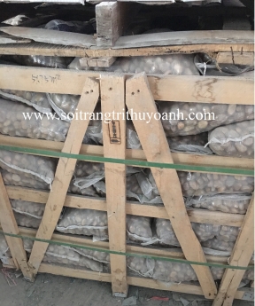 Sỏi trắng bóng trang trí tiểu cảnh sân vườn, sỏi rải sân vườn