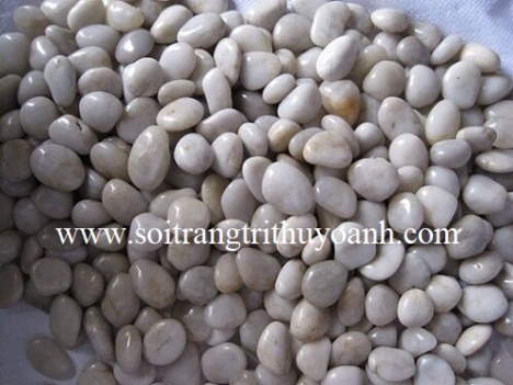 Sỏi trắng bóng trang trí tiểu cảnh sân vườn, sỏi rải sân vườn