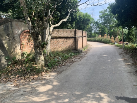bán đất sổ đỏ 4822m2 tại đô lương, bắc sơn giá 3,6 tỷ
