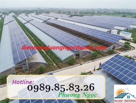 Hệ thống điện năng lượng mặt trời trong nông nghiệp, ứng dụng điện mặt trời cho chăn nuôi