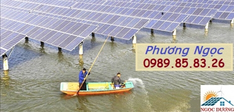 Hệ thống điện năng lượng mặt trời trong nông nghiệp, ứng dụng điện mặt trời cho chăn nuôi