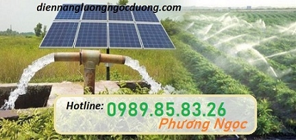 Hệ thống điện năng lượng mặt trời trong nông nghiệp, ứng dụng điện mặt trời cho chăn nuôi