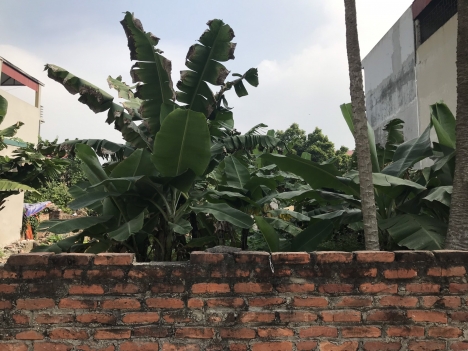 Hơn 80m kinh doanh đối diện KCN Nội Bài siêu đẹp - LH 098.168.2290
