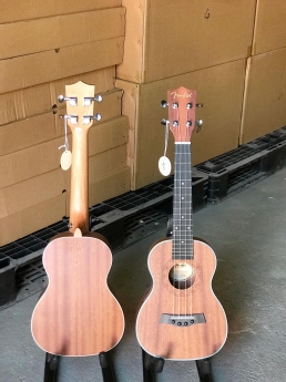 Đàn ukulele concert giá tốt