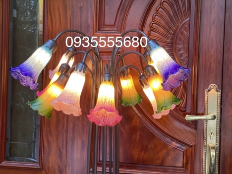 Rực rỡ sắc xuân