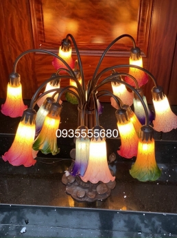Rực rỡ sắc xuân