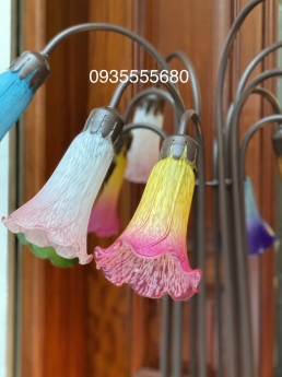Rực rỡ sắc xuân