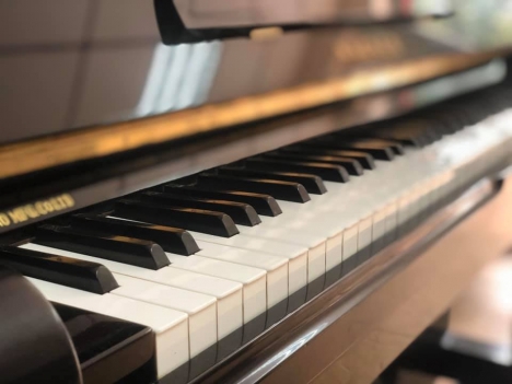 Đàn Piano Cơ Wagner Nhật Bản giá đẹp