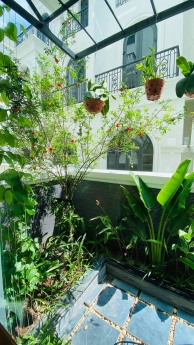 Sỏi trắng tự nhiên, sỏi trắng ngà, sỏi trắng trang trí