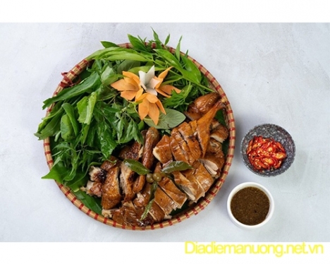 Quán Vịt Halo - Quán Vịt Ngon Gò Vấp