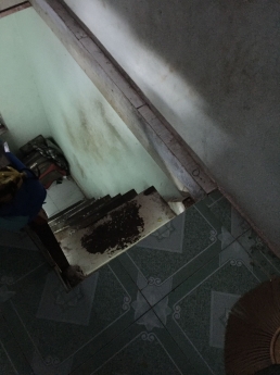 Cần Nam ở ghép Lê Văn Lương, Quận 7