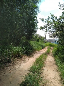 Bán gấp 2 lô đất tổng cộng 8,1 sào ở xã Hưng Thịnh trảng bom Đồng nai