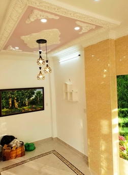 Biệt thự sân vườn HXH 1422 Huỳnh Tấn Phát, P.Phú Mỹ, Q7