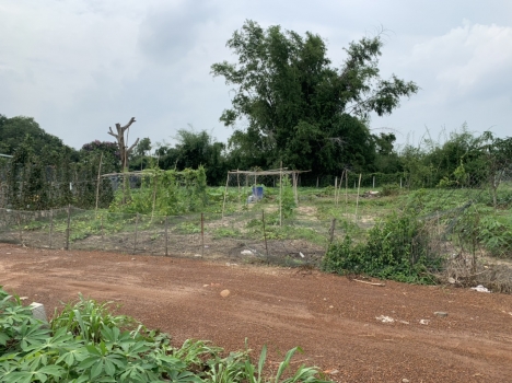 Cần bán đất tỉnh Bà Rịa - Vũng Tàu 1,3 triệu/m2(1000m2)