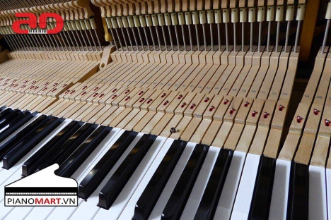 Nhạc Cho Mẹ Bầu Hay Nhất – Giúp Bé Phát Triển Trí Thông Minh.