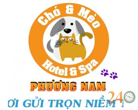 Trông Giữ Thú Cưng Uy Tín Tân Phú