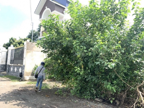 Bán rẻ 244m² đất Hóc Môn 'đẹp không tì vết' giá chỉ 6.5 tỷ