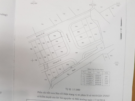Ngay mặt tiền H.Nhà Bè! 244m² đất giá chỉ 4.7 tỷ