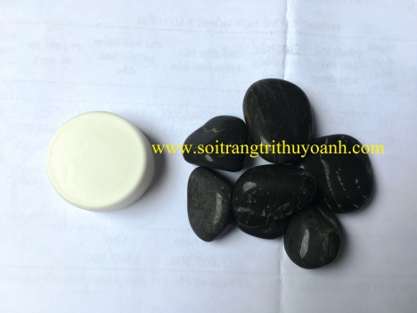 Sỏi trang trí chậu cây